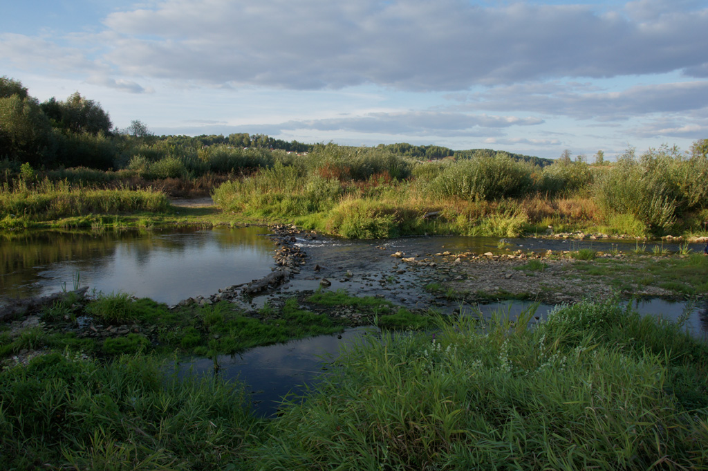 Тарусска впадает в Оку